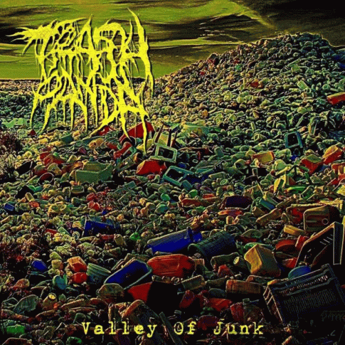 Trash Panda : Valley of Junk